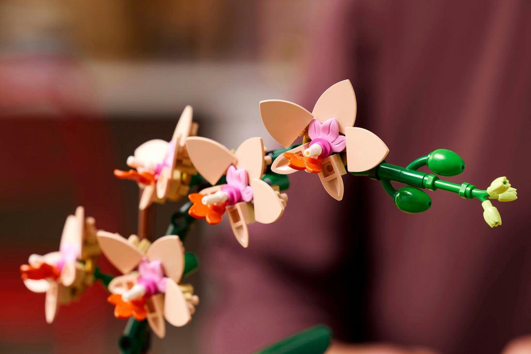 Miniorchidee - LEGO® Botanical Collection 10343