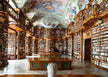 New York Public Library - Puzzel 1000 stukjes - Ravensburger 12001440