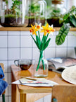 Narcissen - LEGO® Flowers 40747
