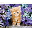 Ginger Cat - Puzzel 500 stukjes - Clementoni 30415