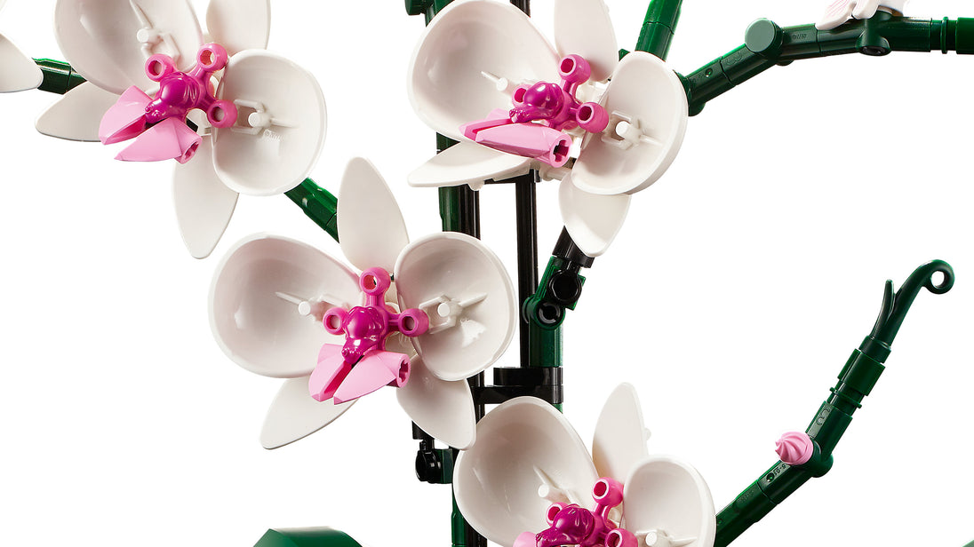 Orchidee - LEGO® Botanical Collection 10311