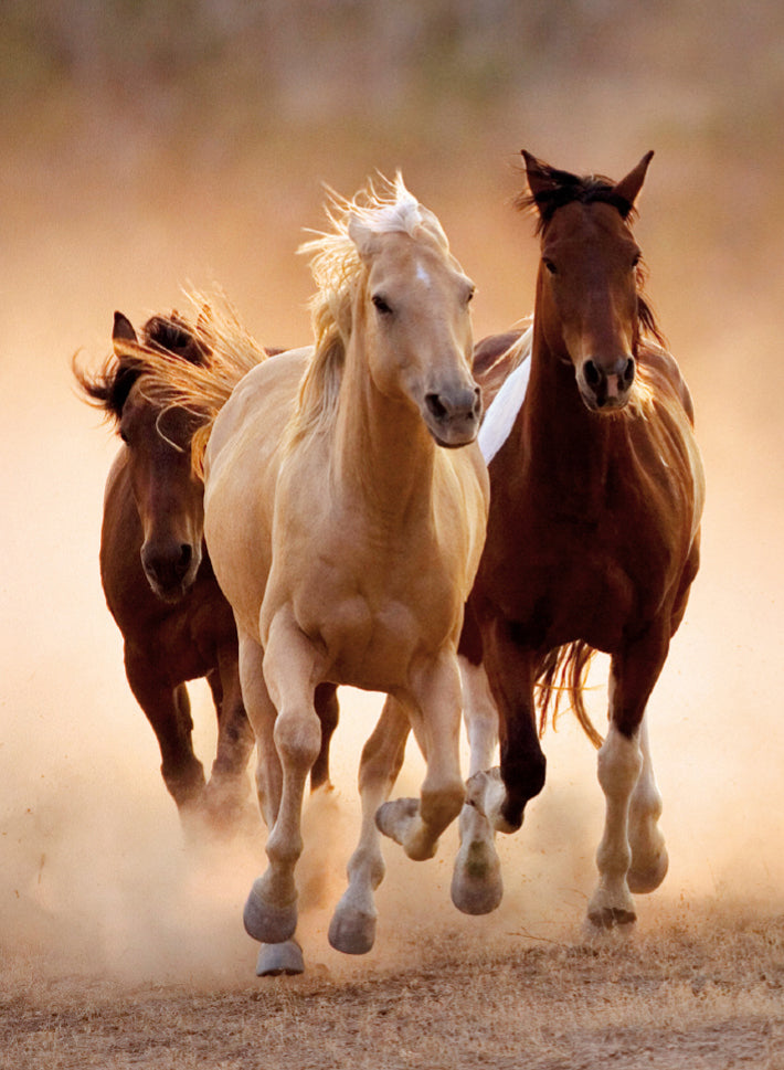 Running Horses - Puzzel 1000 stukjes - Clementoni 39168