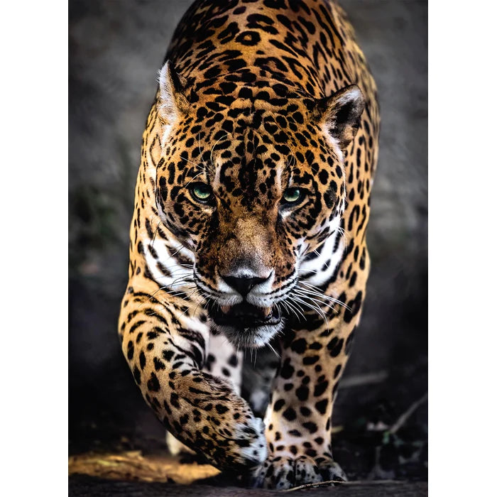 Walk of the Jaguar - Puzzel 1000 stukjes - Clementoni 39326