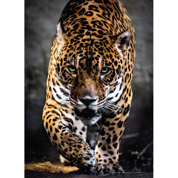 Walk of the Jaguar - Puzzel 1000 stukjes - Clementoni 39326