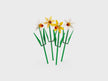 Narcissen - LEGO® Flowers 40747