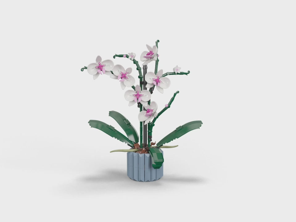 Orchidee - LEGO® Botanical Collection 10311