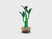 Bamboe - LEGO® Botanical Collection 10344